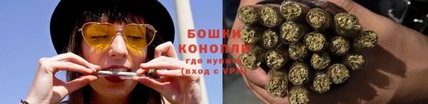 прущие грибы Балахна