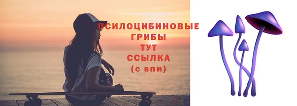 прущие грибы Балахна