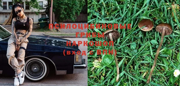 прущие грибы Балахна