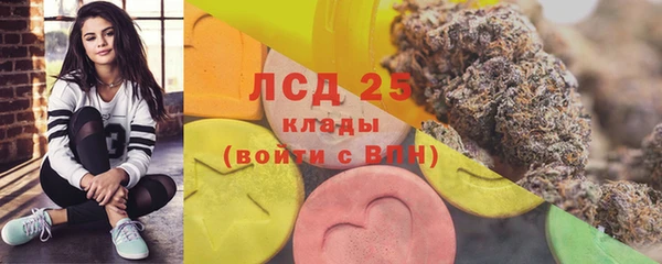 прущие грибы Балахна